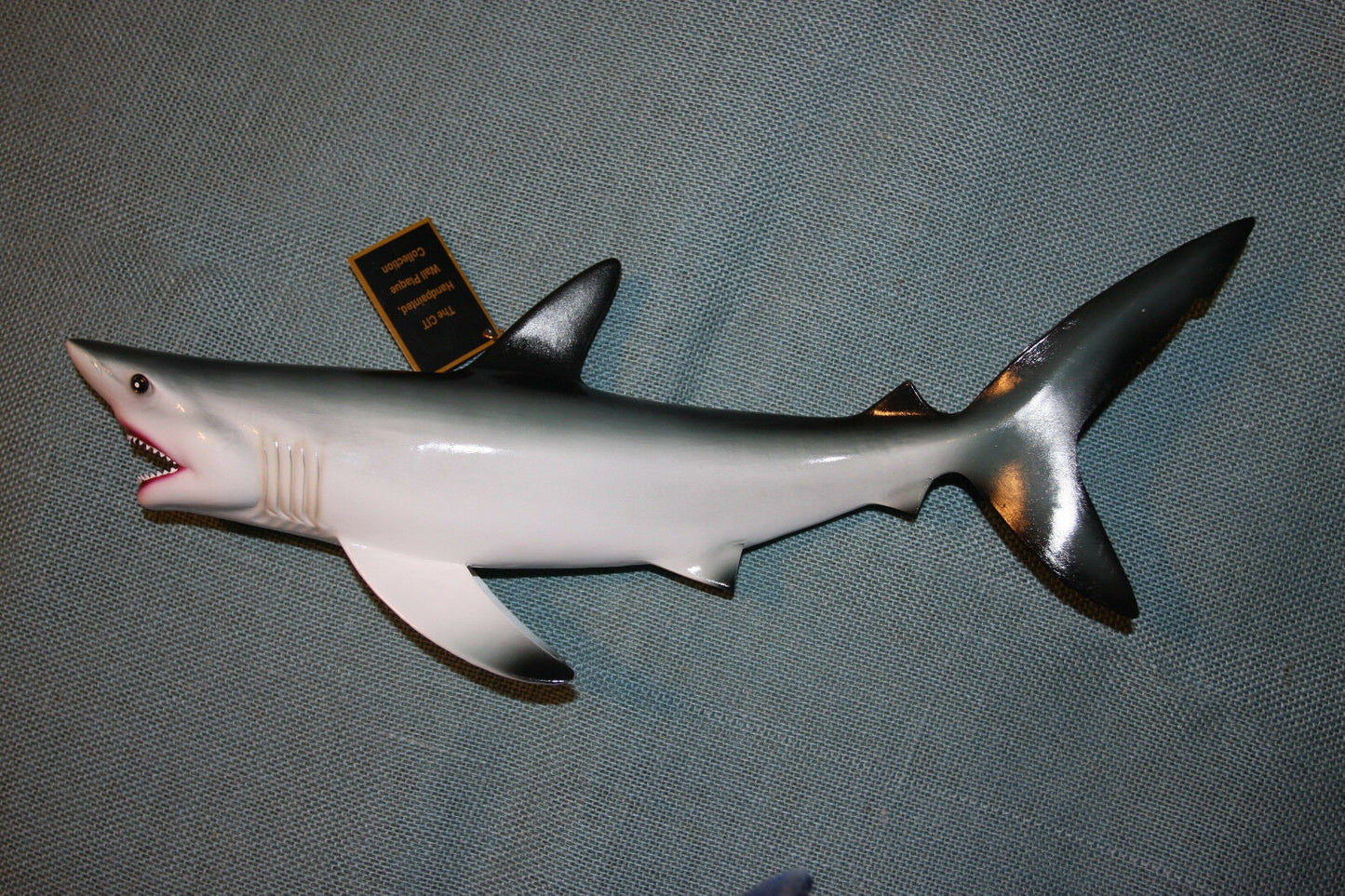 1- GREAT WHITE SHARK Replice,3D Species Correct 18" Shark Wall Hanging,All Occasion Gifts, SH-02