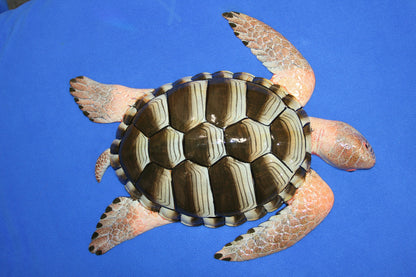 HUGE......15 Inch, Sea Turtle, Wall Hanging, Sea Life, Coastal Decor, Home Decorations, Species Correct Just Like Found In The Ocean, GST-1