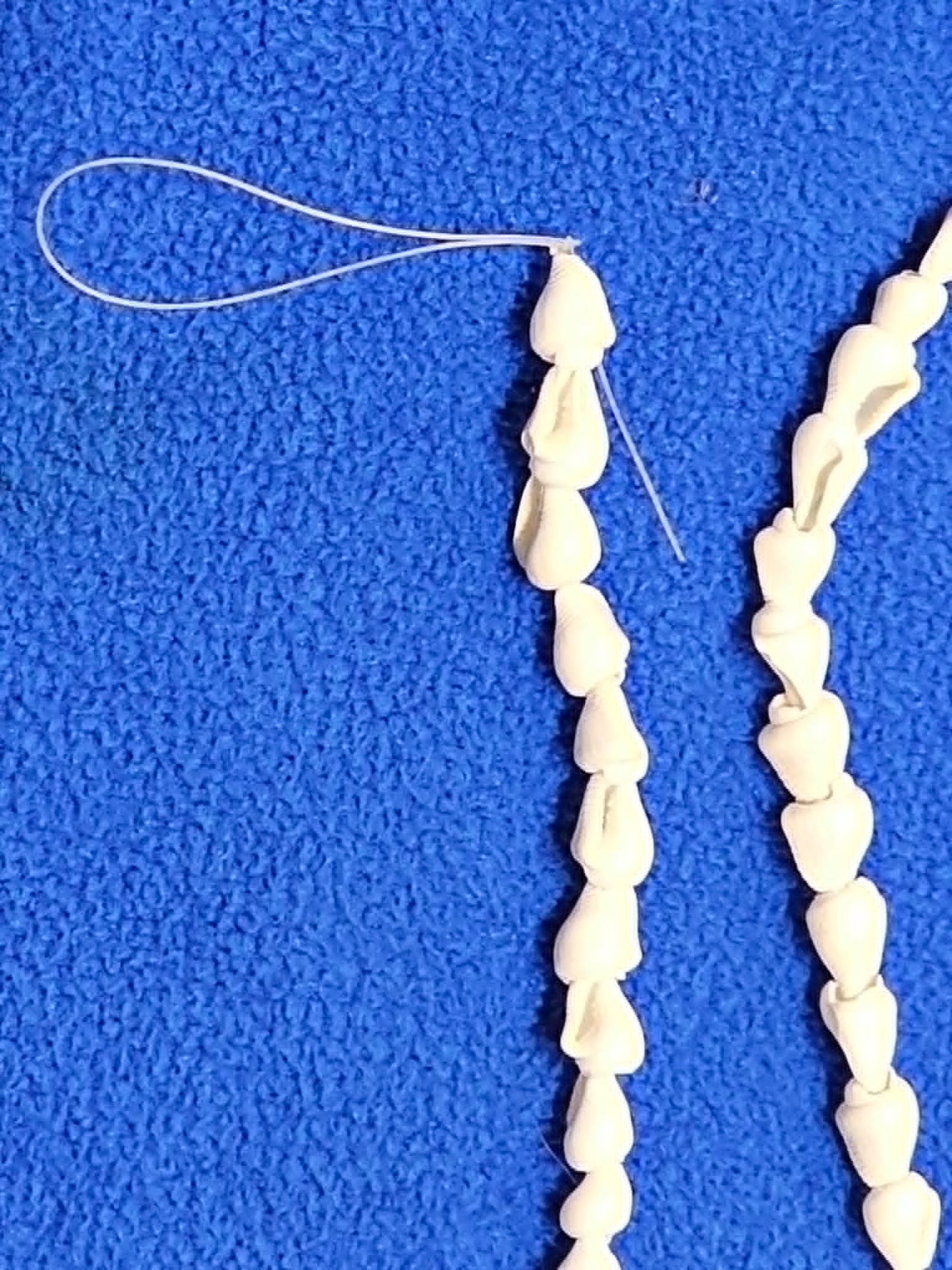 1 - Natural NASSA Seashell Garland, Tan and Cream, Matte Finish, 6 ft, for Shell Crafts and Home Decor, HG-05