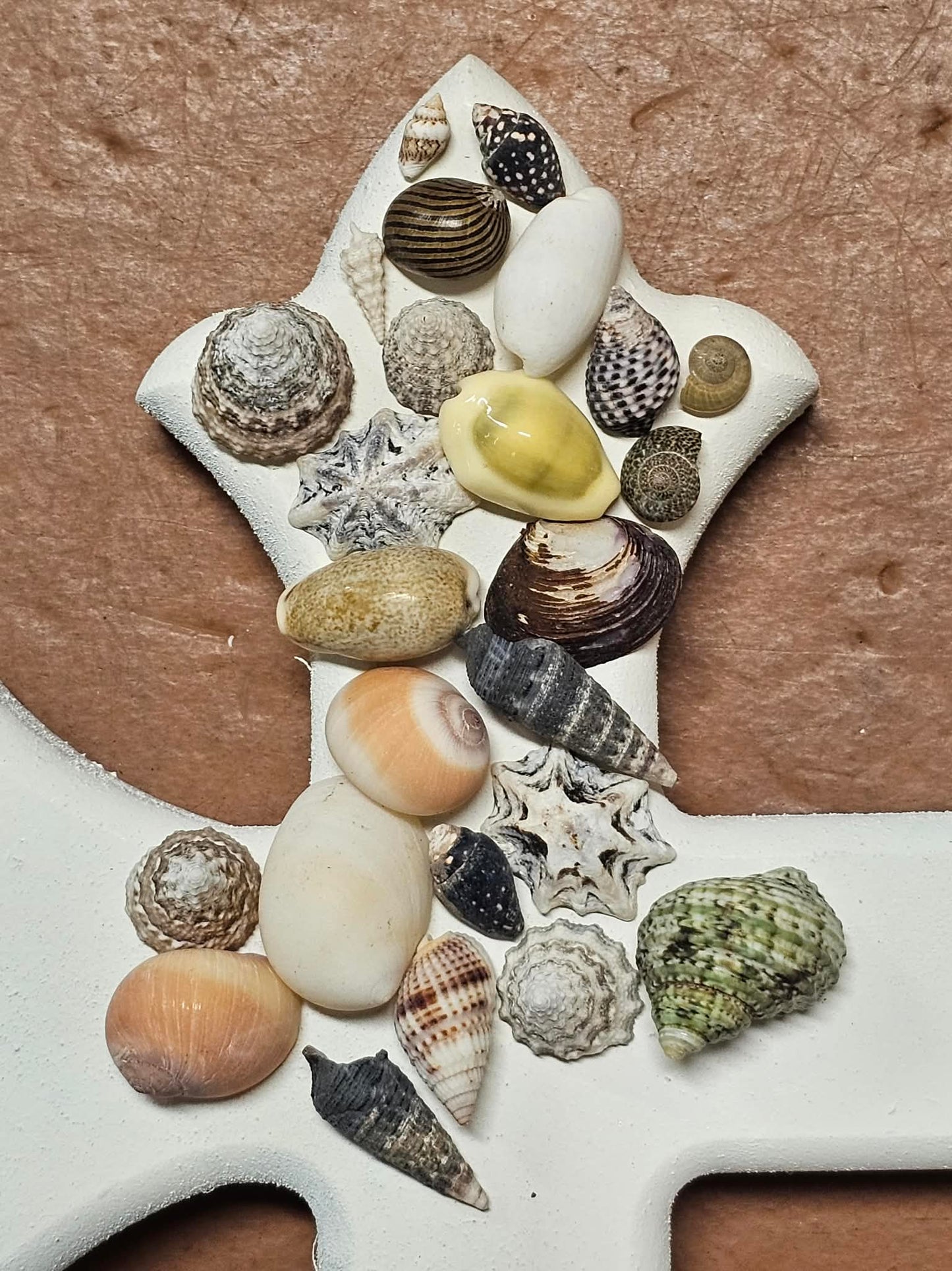 1-Pound, SEASHELL SMALL MIX, Craft Supply, Beach Art,Mosaics,Resin Pour Crafts,Seashell Flowers,SS-172